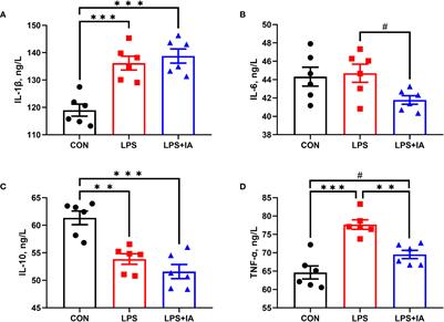 Macleaya cordata isoquinoline alkaloids attenuate Escherichia coli lipopolysaccharide-induced intestinal epithelium injury in broiler chickens by co-regulating the TLR4/MyD88/NF-κB and Nrf2 signaling pathways